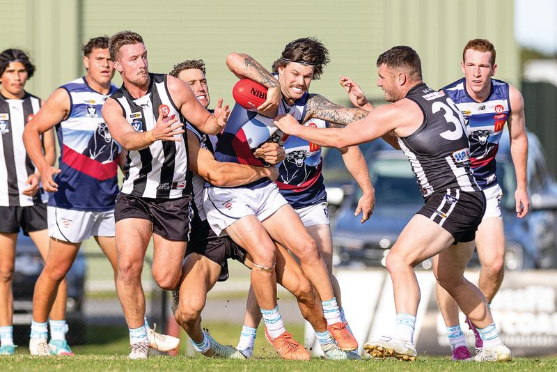 Panthers slide to a win during Magpie fundraiser post image