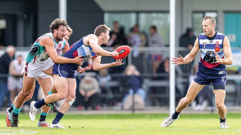 Cobras claim another win from the Panthers post image
