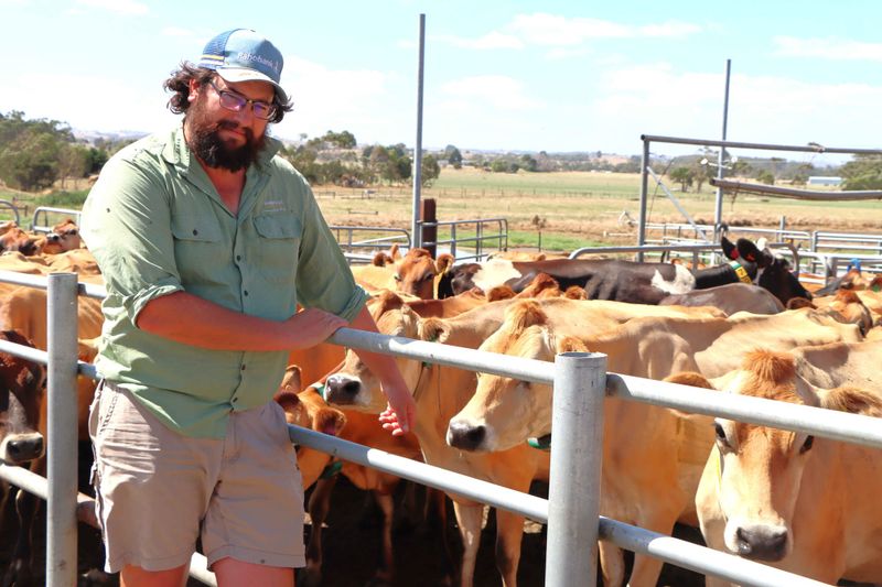 Dairy farmers wanted $9.50, here's what they got post image