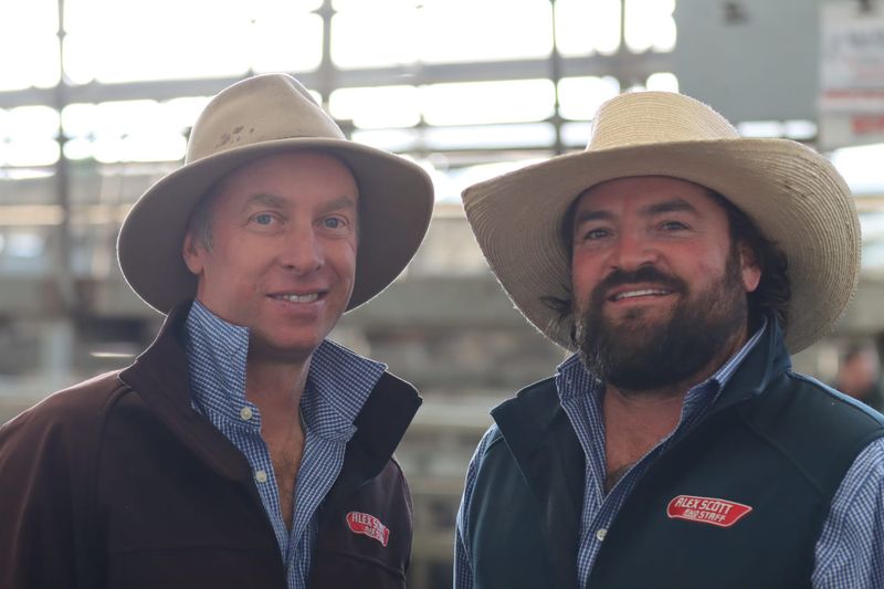 Booming cattle prices continue in Leongatha post image