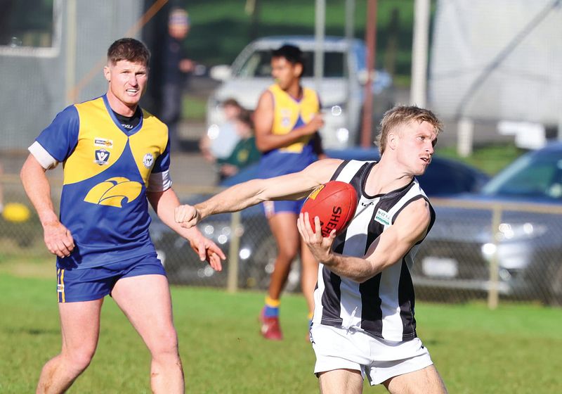 Magpies fall to in-form Ellinbank post image
