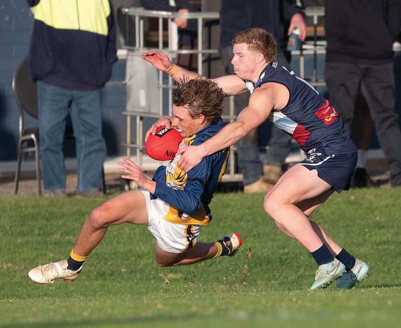 Sea Eagles trounce Panthers post image