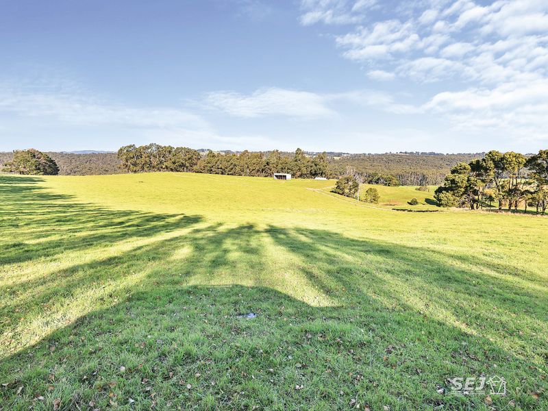 Generations of dairying on 243 fertile acres post image