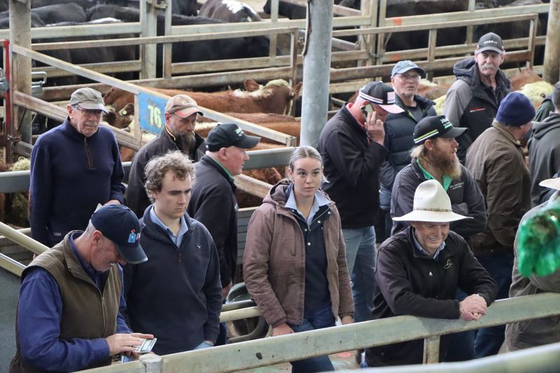 Prices brighten proceedings at Leongatha Saleyards post image