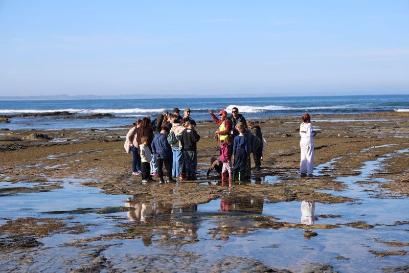 Ancient footprints and polar giants live again on the Bass Coast post image