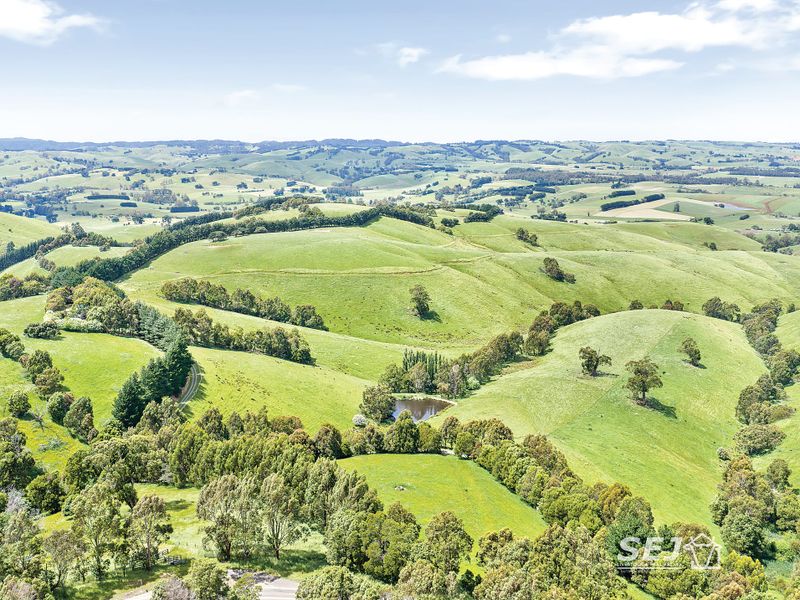 Affordable entry into blue gum grazing country at Dumbalk post image