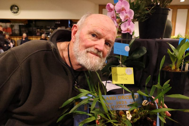 Spectacular blooms await at the 36th Annual South Gippsland Orchid Show post image