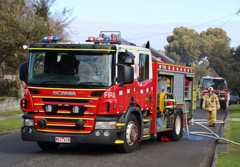 Senior dog rescued as crews battle Wonthaggi fire post image