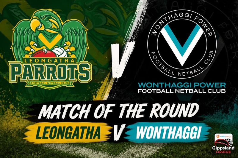Power and Parrots face off as finals’ glory beckons post image