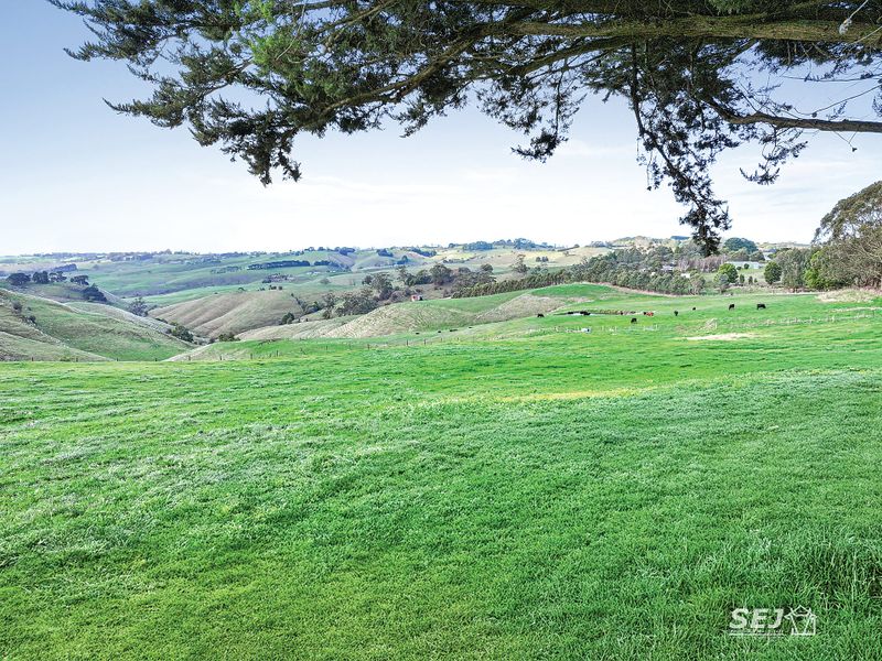 Grazing country close to town and closer to the sale yards post image