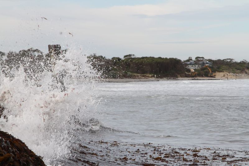 Greens put Bass Coast on notice over rising sea levels post image