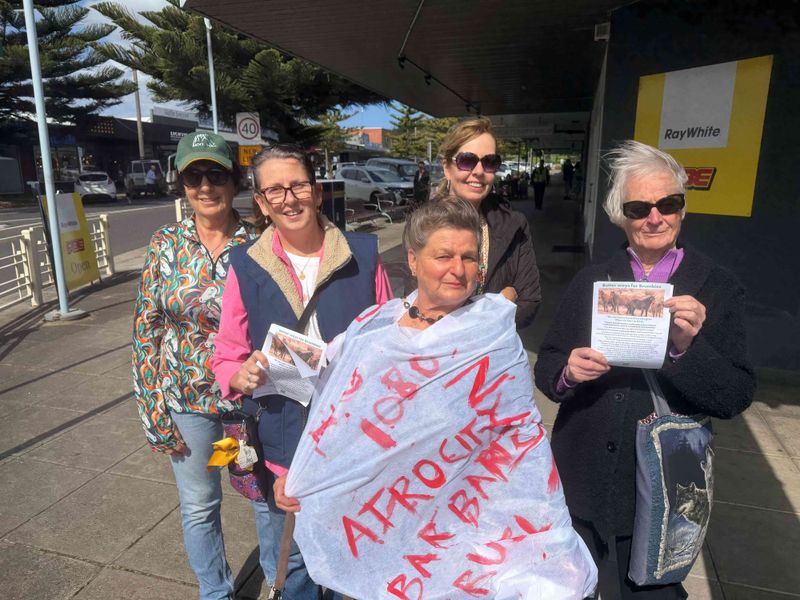 Don’t shoot the wild brumbies, say Wonthaggi protesters post image