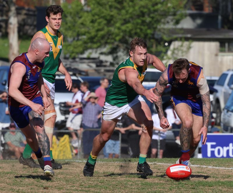 Gallant Parrots fight hard but can't deny Moe breakthrough post image