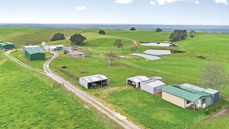 Turnkey dairy opportunity in the heart of South Gippsland post image