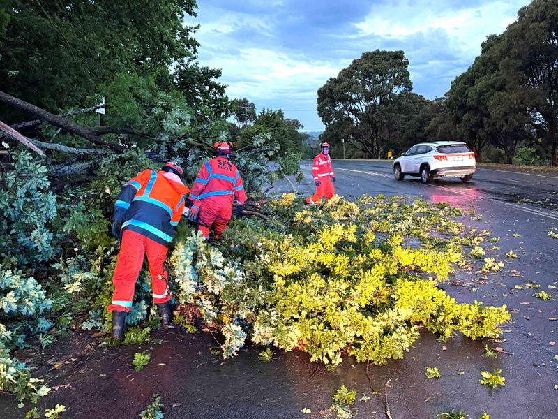 Storm shock: No injuries but there could have been, they say post image