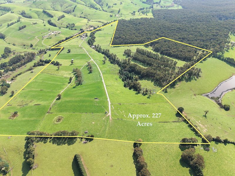 Established dairy farm with bushland backdrop post image