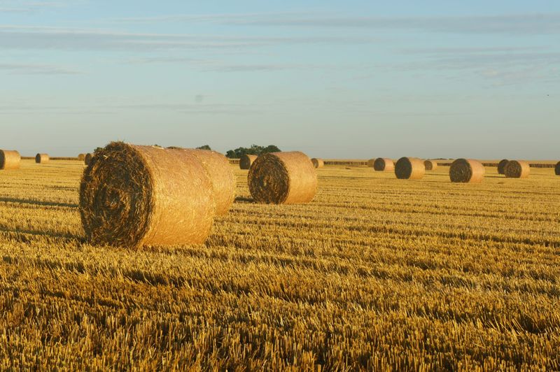 Gippsland offered $1.55m to prepare for drought post image