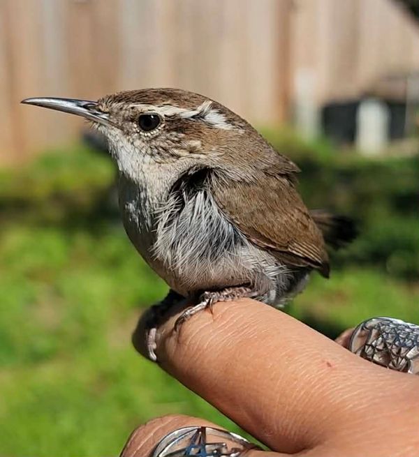 Take the Picture, Because You'll Forget More Than You Think