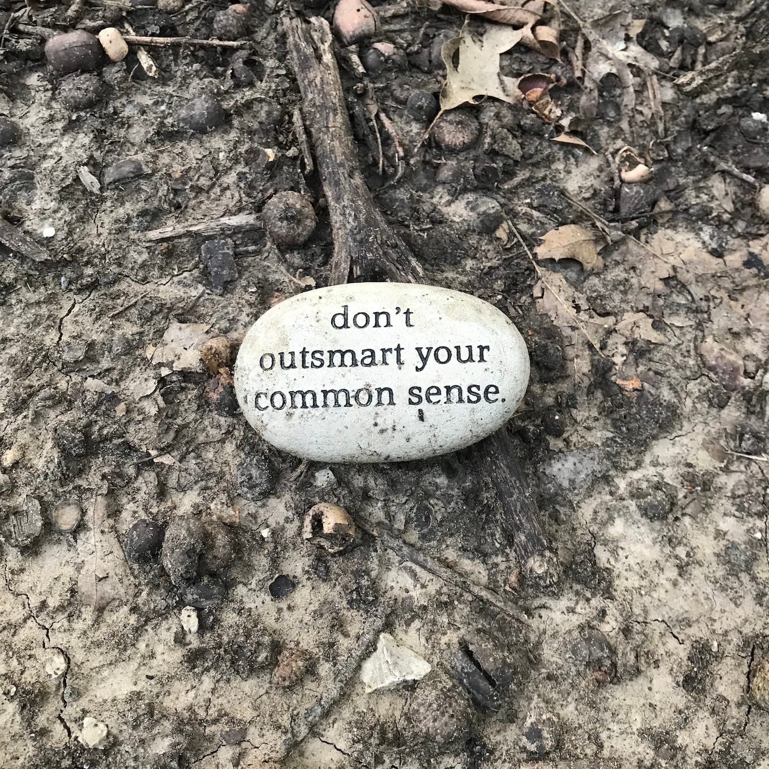 A rock at the Parr Park Rock Art Trail painted with "don't outsmart your common sense”