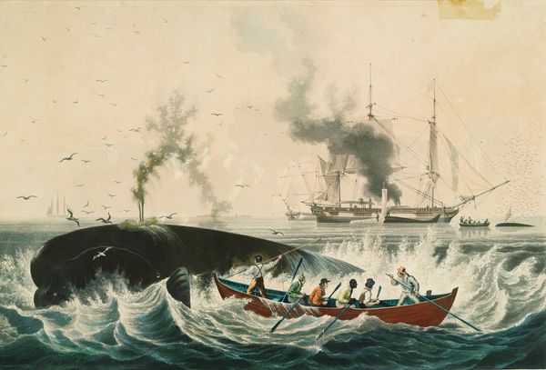 A Whale of a (Bad) Time: The Tragedy of the Essex
