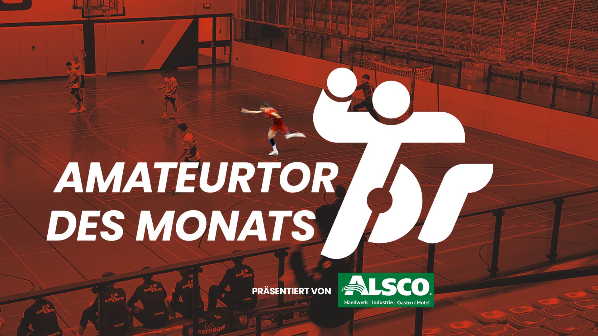 Amateurtor des Monats Dezember: Anton artistisch!