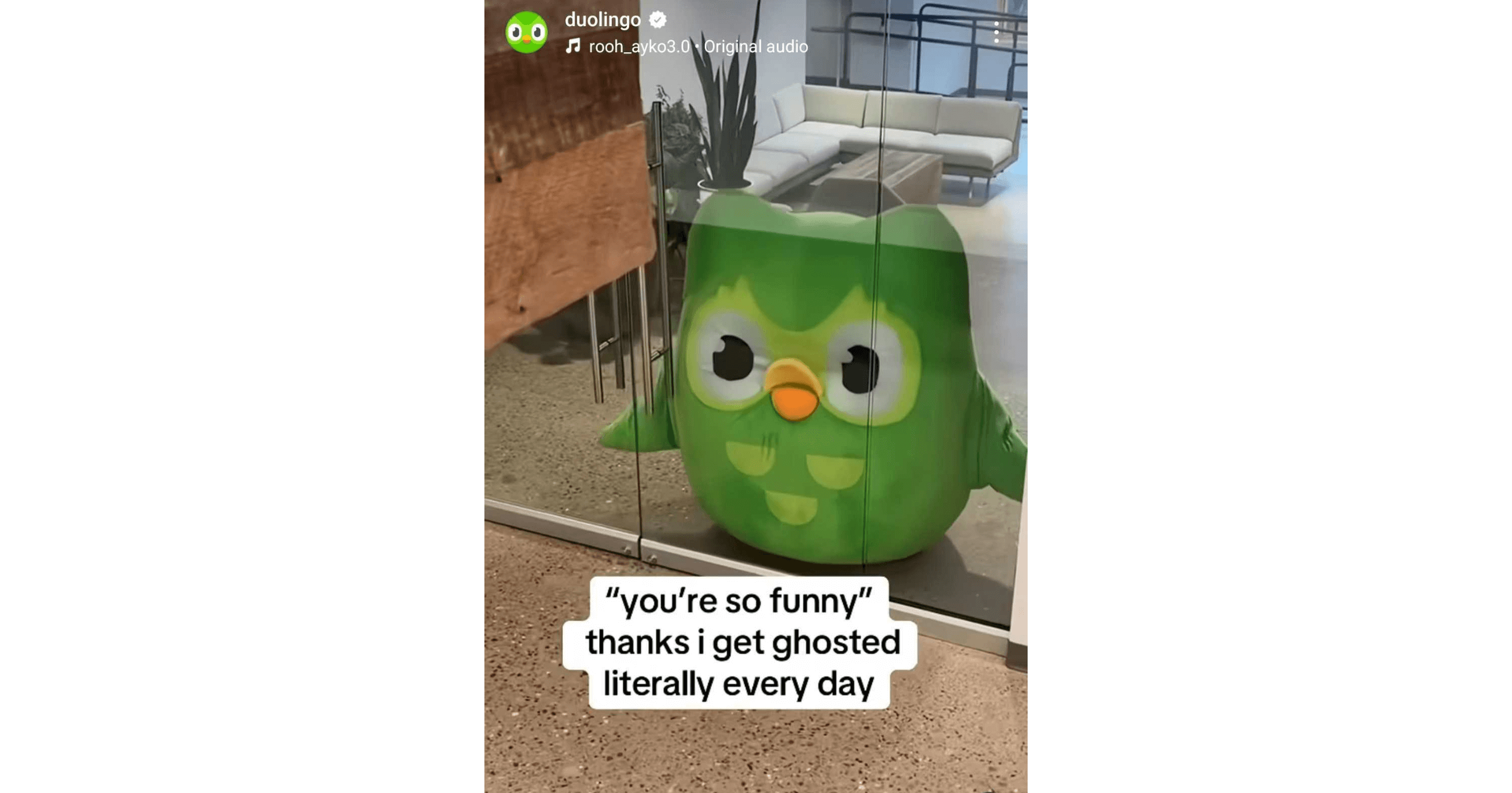 Employer branding examples - Duolingo tiktok