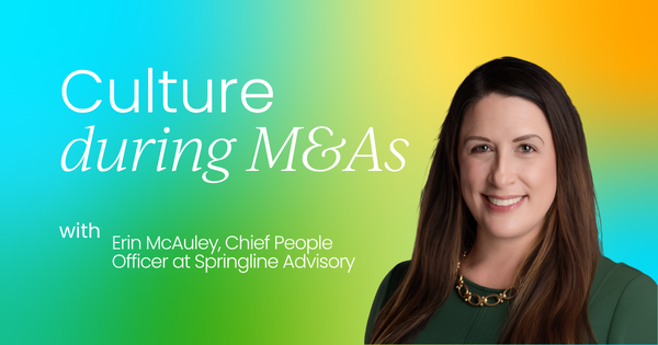 Scaling with soul:  Embedding culture and purpose post-merger
