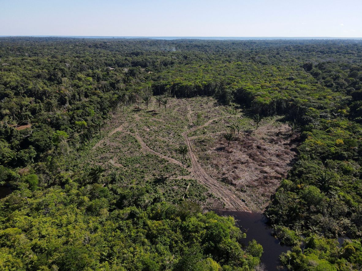 A-deforested-plot-of-the-Amazon-rainforest-in-Manaus,-Amazonas-State,-Brazil-July-8,-2022.-(REUTERS/Bruno-Kelly/File-Photo)