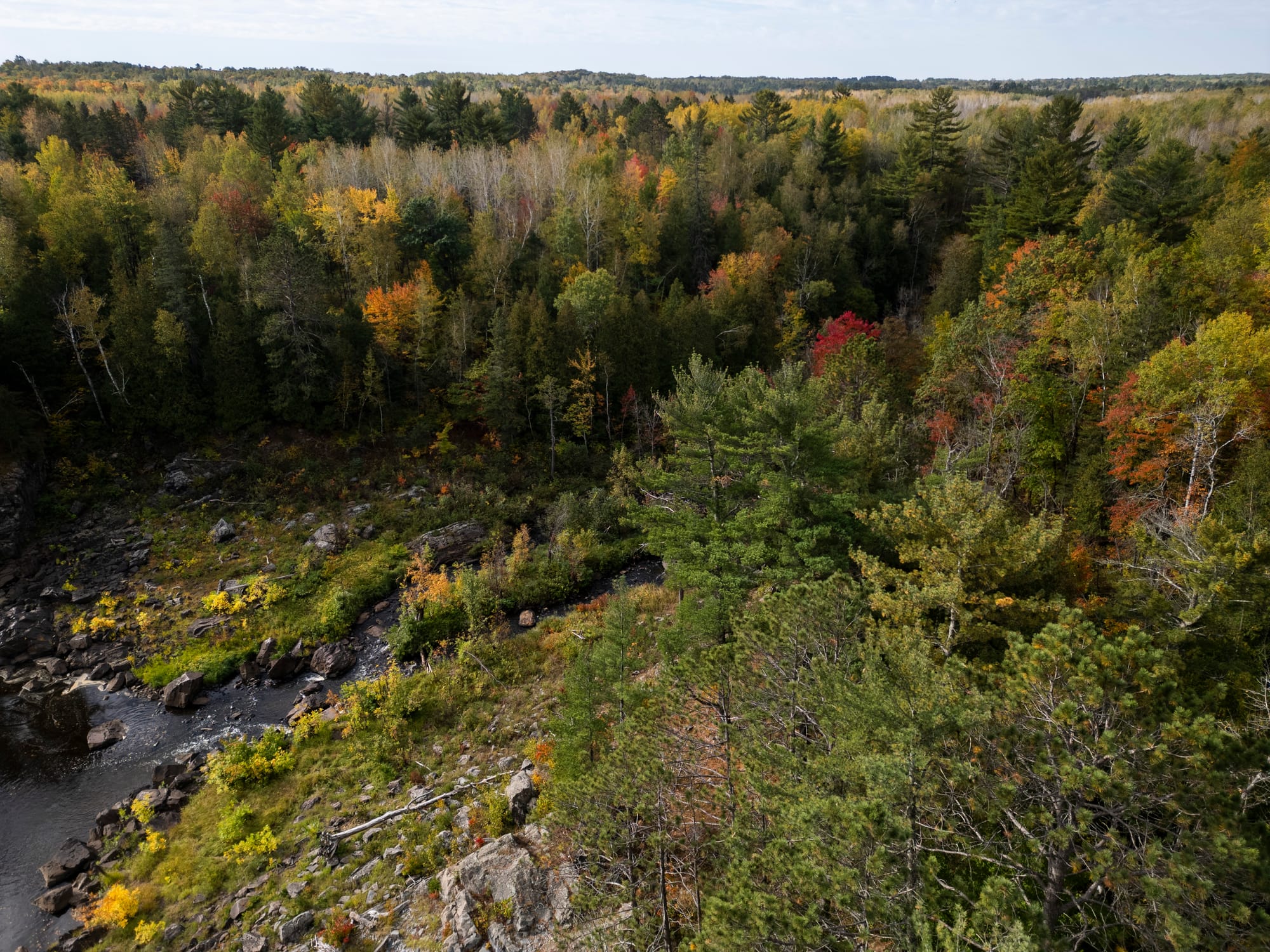 Bright yellow and red leaves are seen on trees on the Munger Trail.