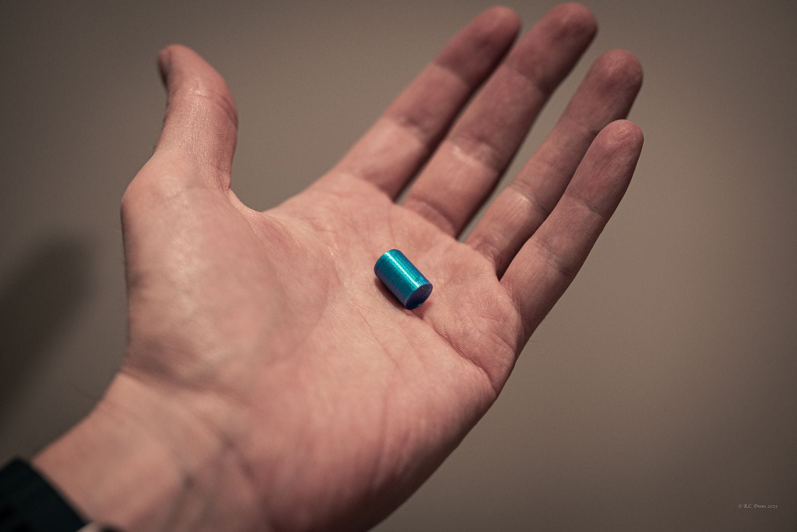 A 3D printed pellet is seen in a person's open hand. 