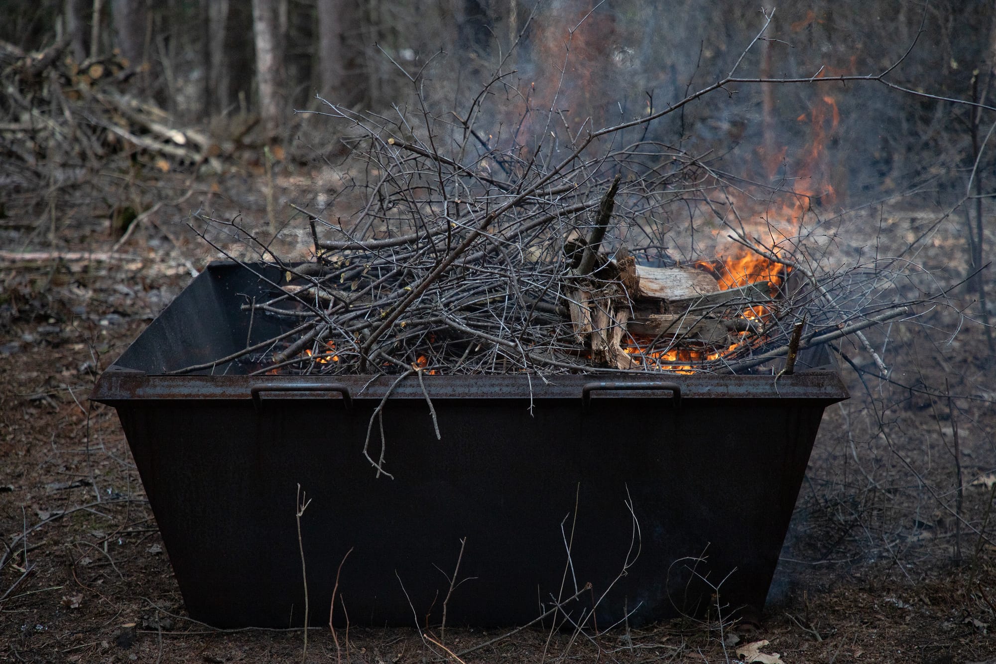 Buckthorn sticks are seen in a square, metal kiln. Flames are visible in the kiln, which is integral to the biochar process.