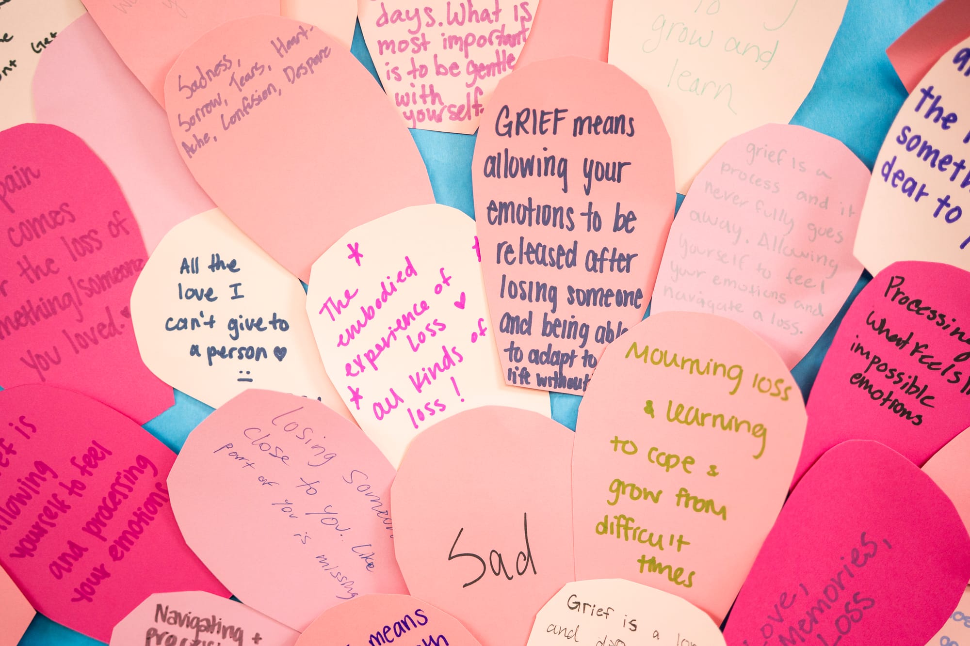 Notes on grief are seen during a training for nursing students. They say things like "Mourning loss and learning to cope and grow from difficult times," and "Grief means allowing your emotions to be released after losing someone and being able to adapt to life without them."