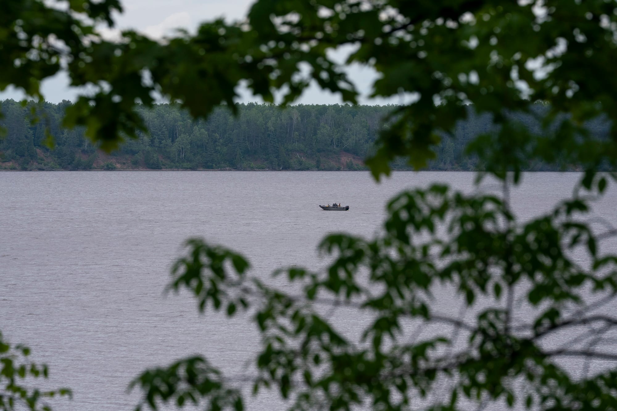 A boat is seen in the distance on a body of water. Tree branches are obscured in the foreground of the photograph. 