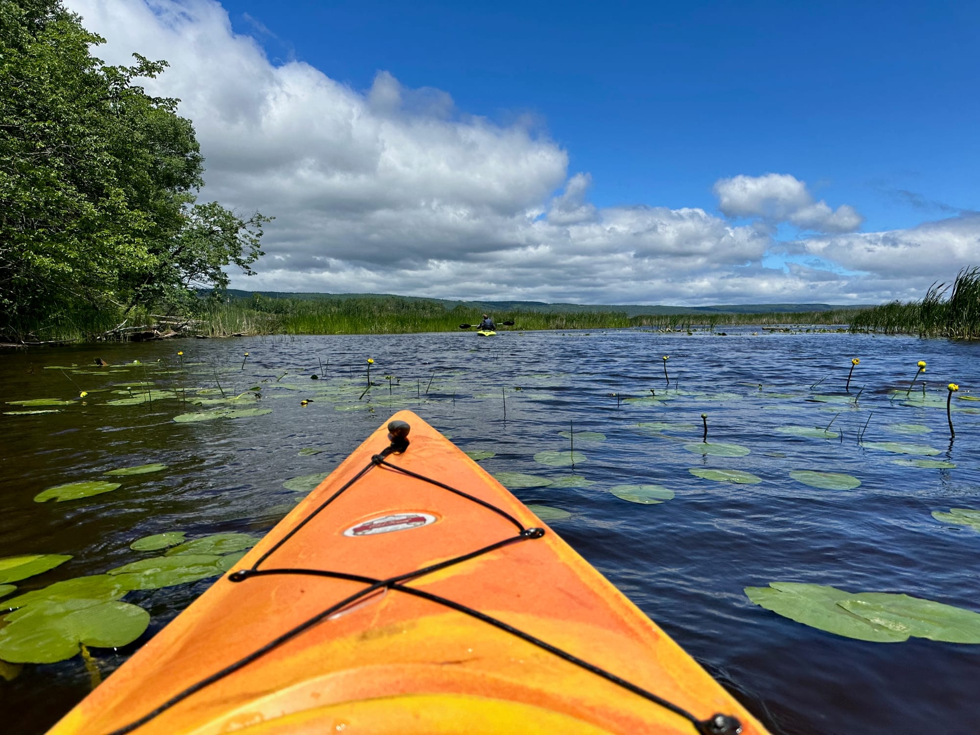 The front of a bright orange kayak is visible and appears to be moving through water filled with green lily pads. Some water lilies poke through the surface. Another person kayaking is seen in the background.