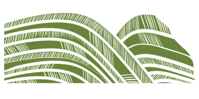 Project Optimist's green fields graphic