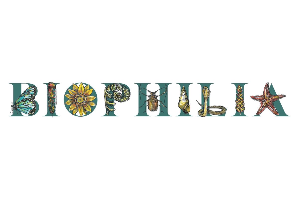 Community Voices ⎸ Bio·​phil·​ia: A new grant for our new program on nature, design, and connection to the living world