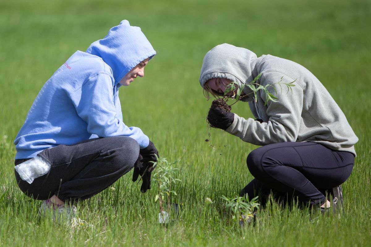 How a small church prairie helps habitat and biodiversity in the middle of Minnesota