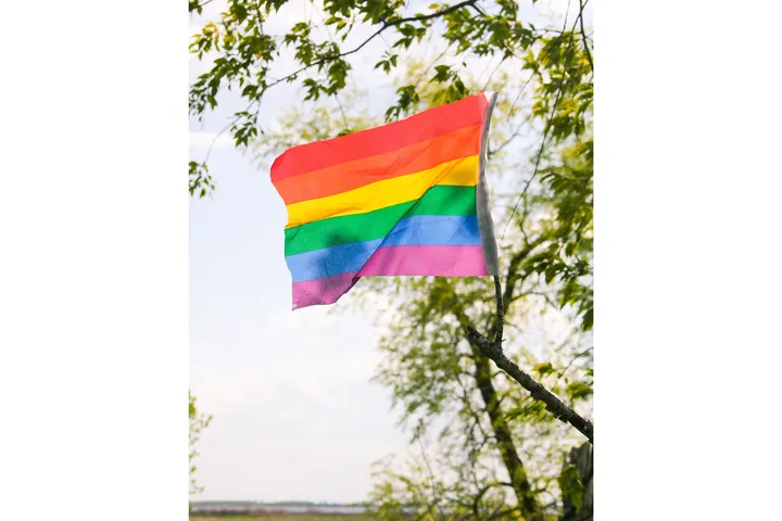 A rainbow flag is attached to a tree limb and waves in the wind. 