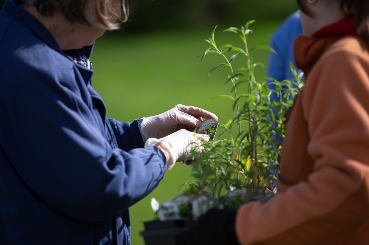 Funding is often another limitation in restoration projects, Rothstein said. If money were no object, groups could “throw the kitchen sink at it” and make a big impact all at once. Even if the site can’t be perfect, it can still help pollinators and song birds, he said. He typically measures success during annual walkthroughs, counting by species how many of the desired plants continue to grow.