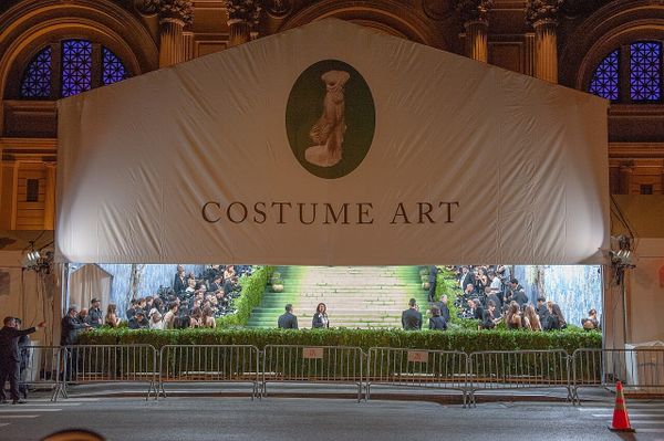 The Met Gala Left Me Mixed On Disabled Inclusion