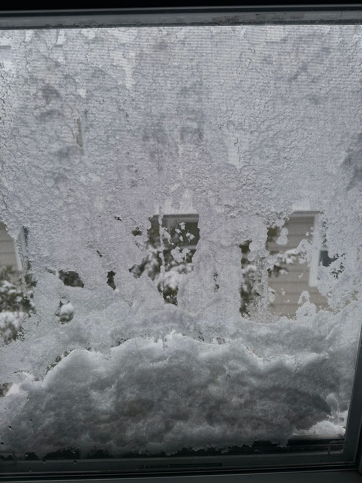 It's a snow day. Join the Board!