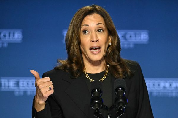 With tariffs, Trump is winging it. What if Kamala Harris did that?