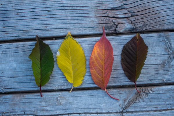 主動改變或被動被改變