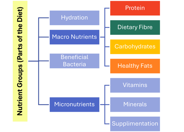 Makronähstoffe für MAXIMALEN Muskelaufbau: Wie viel Proteine sind OPTIMAL? Bessere Hypertrophie durch die richtige Verteilung an Nährstoffen