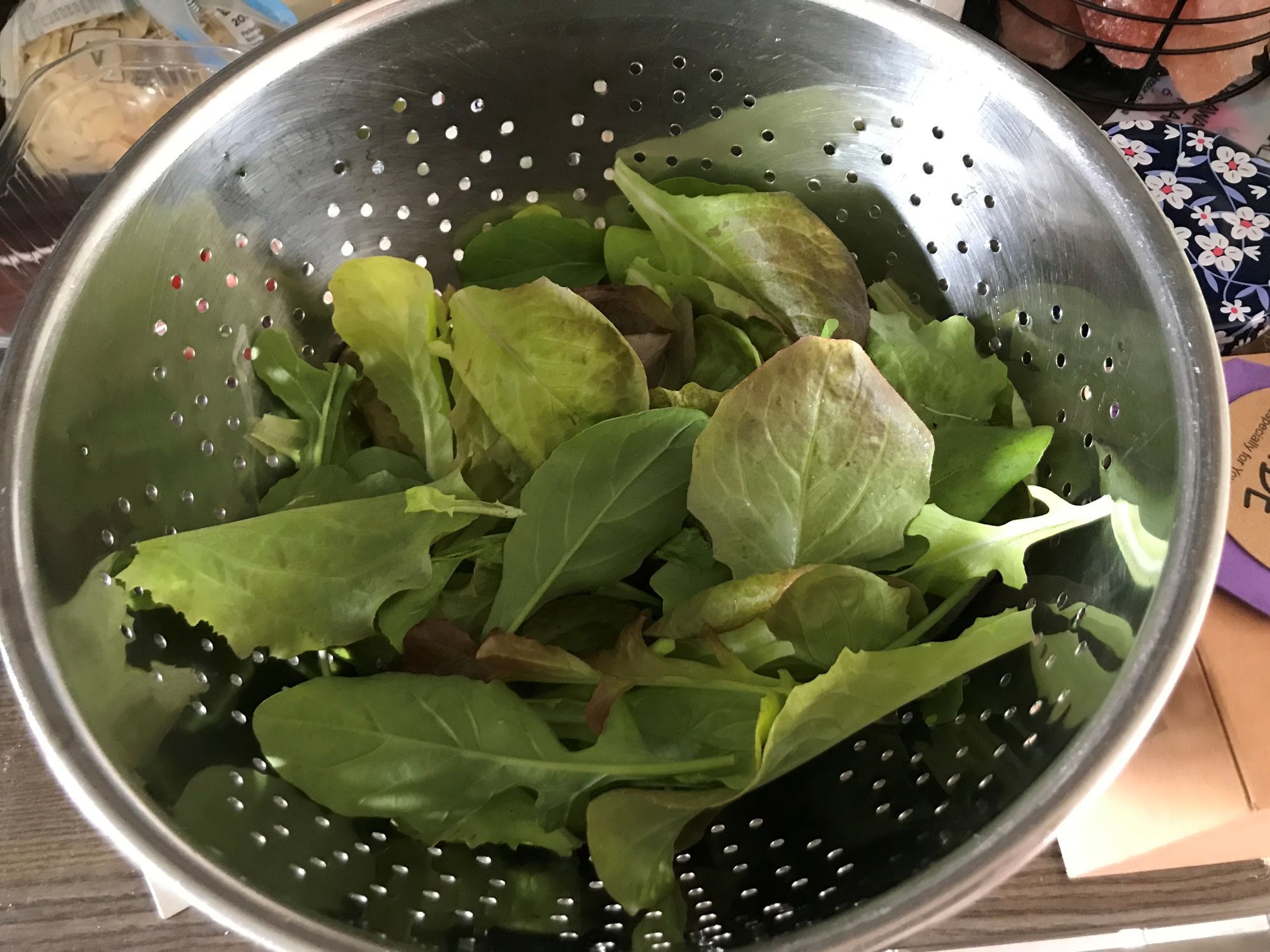 Growing your own lettuce