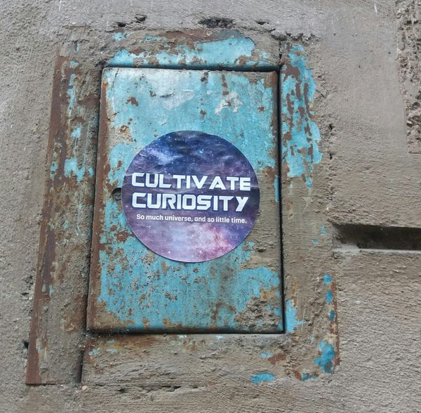 Why Curious Leaders Are the Most Accountable