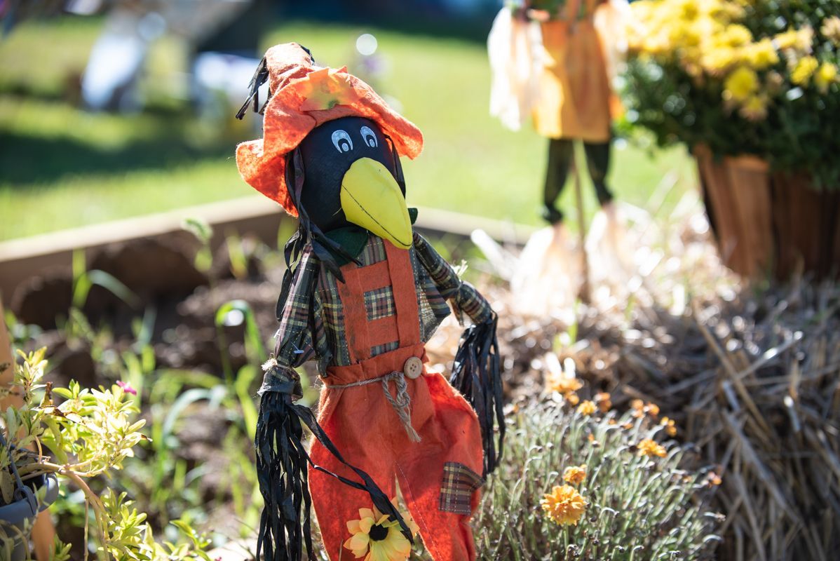 Noticias de Kensington: alertas de emergencia, puestos de venta de productos agrícolas, elecciones generales, empleos, murales y subvenciones para espacios públicos