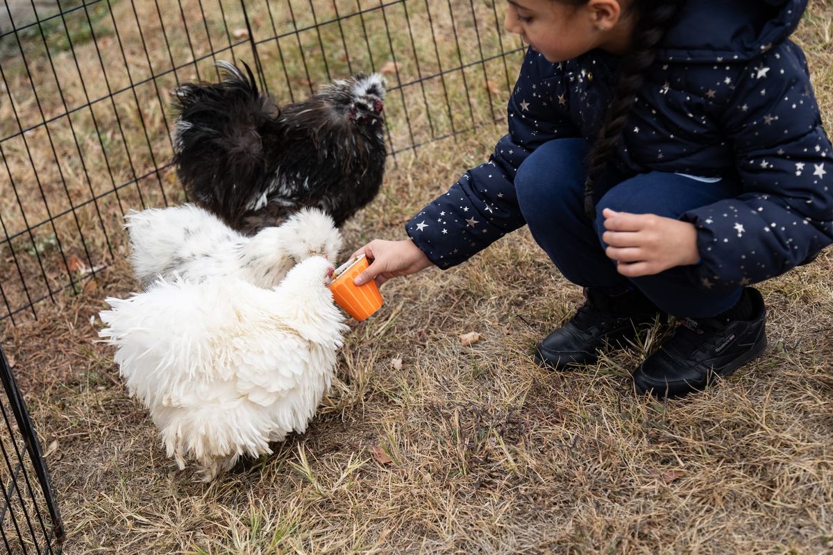 Noticias de Kensington: cenas de Acción de Gracias, almuerzo comunitario y campaña de donaciones “Sangiving” y seminario virtual del Día Mundial del SIDA