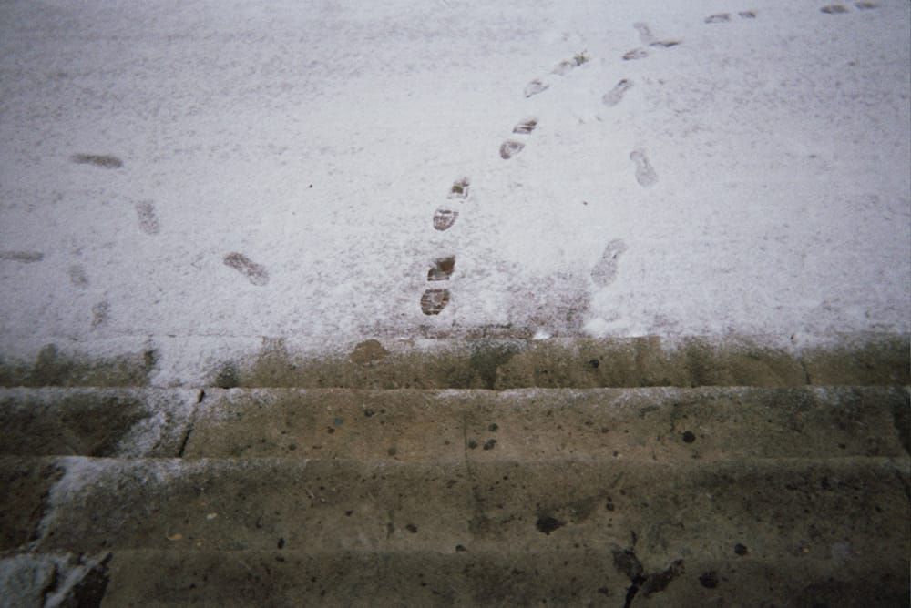 I adore how the city looks in the snow — a very clean slate