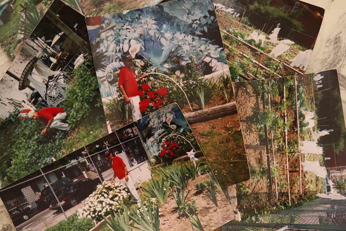 Restoring Victor's garden